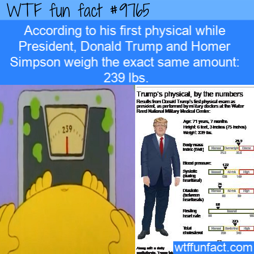 Amazing Random Fact: According to his first physical while President, Donald Trump and Homer Simpson weigh the exact same amount: 239 lbs.