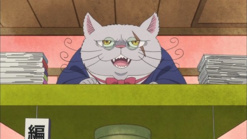 animecatoftheday
