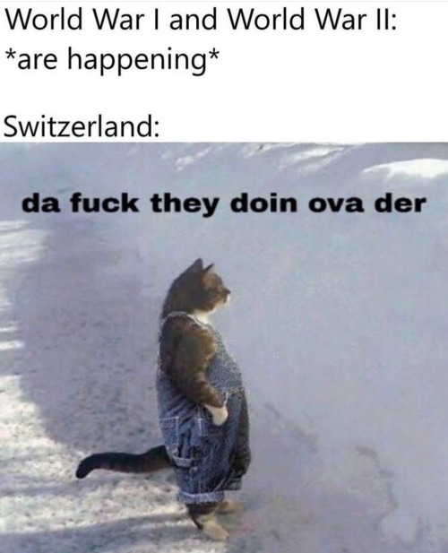 memehumor