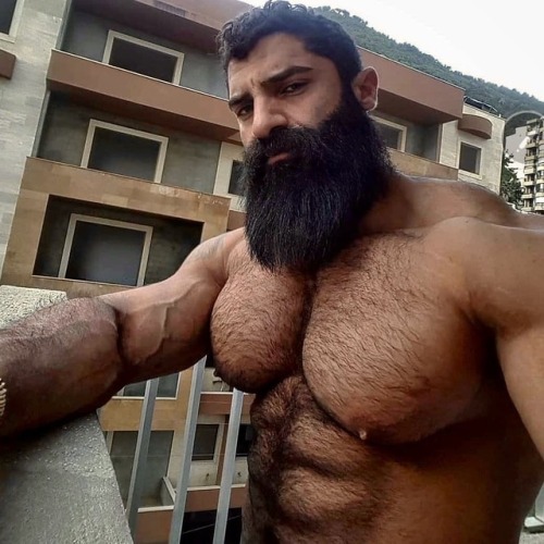 Musclebears & Co.