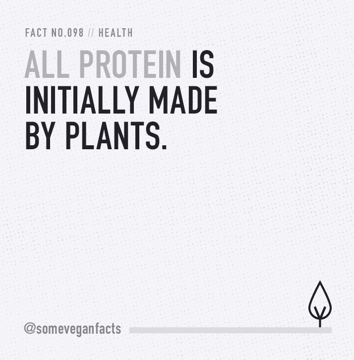 Fact 098. All protein is initially made by plants.
Sources...
