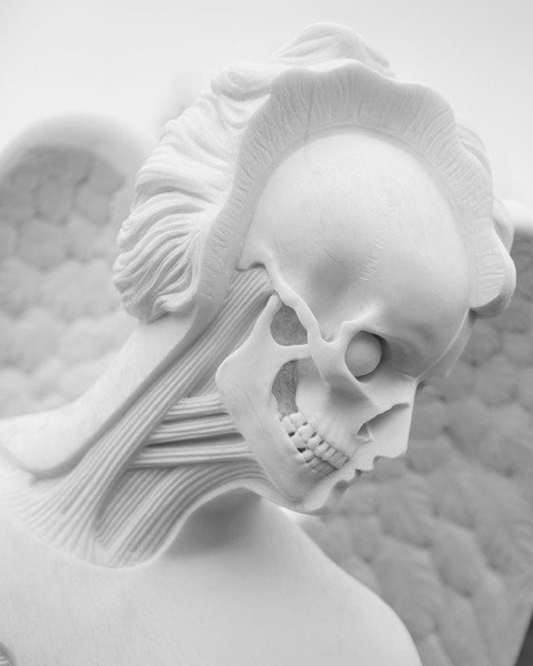 flowartstation:  The Anatomy of an Angel  by Damien Hirst