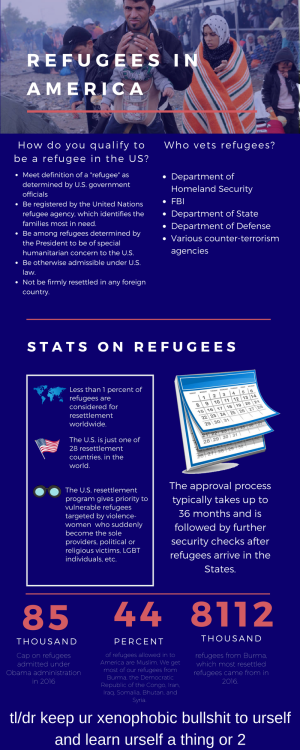 Refugees in America