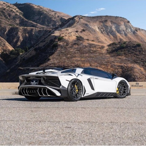 carbonfiberco:King of Bulls. @postmalone@novitecgroup-Full...