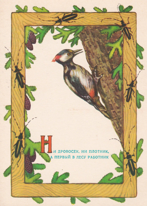 Woodpecker, Cute vintage Soviet postcard (1956), artist A. Dudnikov
Listed on Etsy: http://ift.tt/2ngkPHV