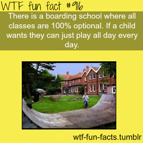 MORE OF WTF-FUN-FACTS Are Coming HERE Funny And...