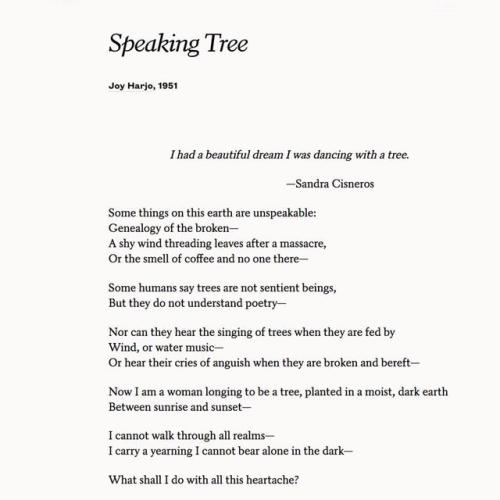 Speaking Tree – Joy Harjo – Seeking Stars