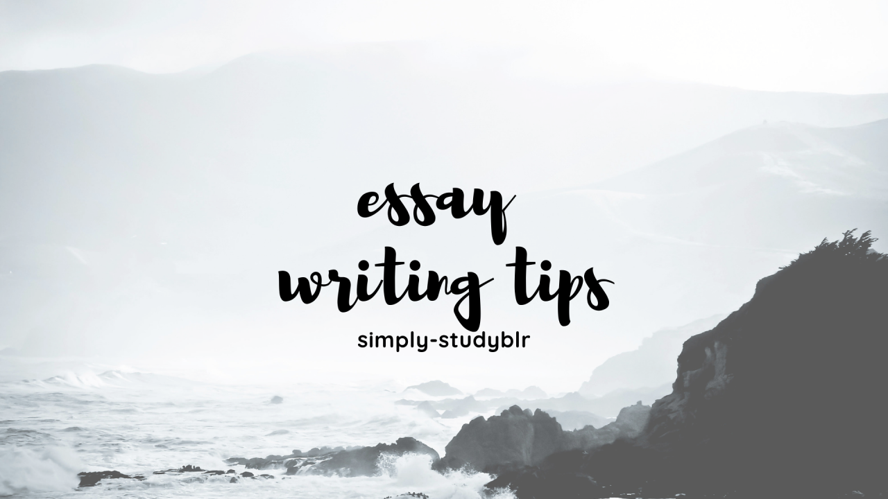Tumblr essay help