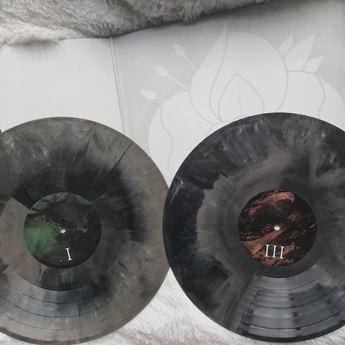 tssfofficial:la dispute    wildlife vinyl