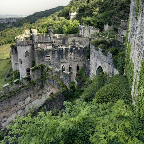 bonitavista:Gwrych Castle. Walesphoto via devon