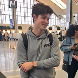 shawn mendes tommy hilfiger hoodie