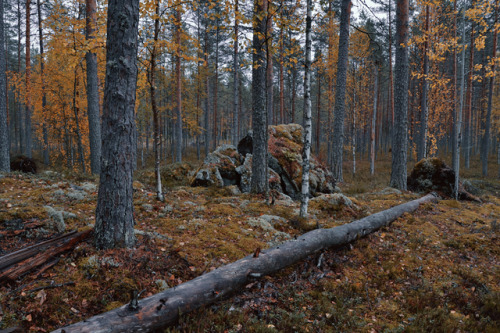 Longing.Savonlinna, Finland (X).