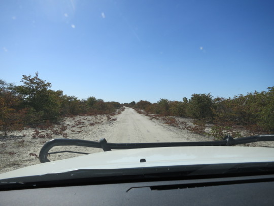 Aventura 4x4 por Botswana y Namibia - Blogs de Africa Sur - Serowe-Kubu Island (6)