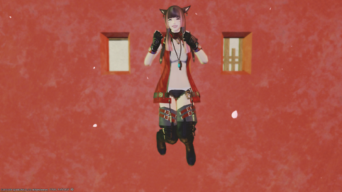 Mellybunny Mellybunny