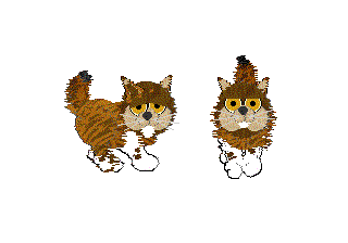 Catz 5 breedz Catz 5 breedz