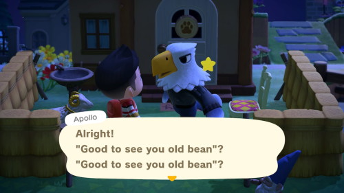 beanisle