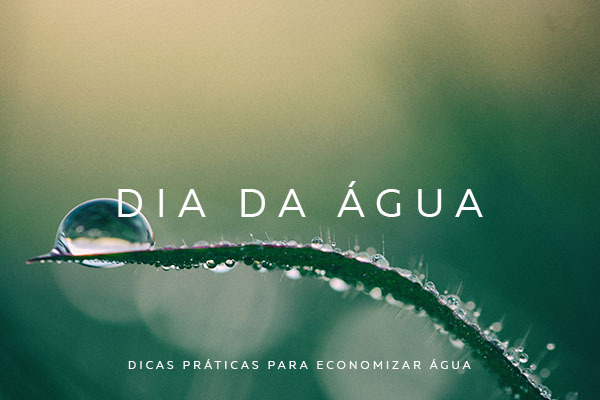 6 dicas para salvarmos o planeta!