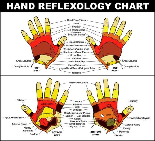 Zone Therapy Hand Chart