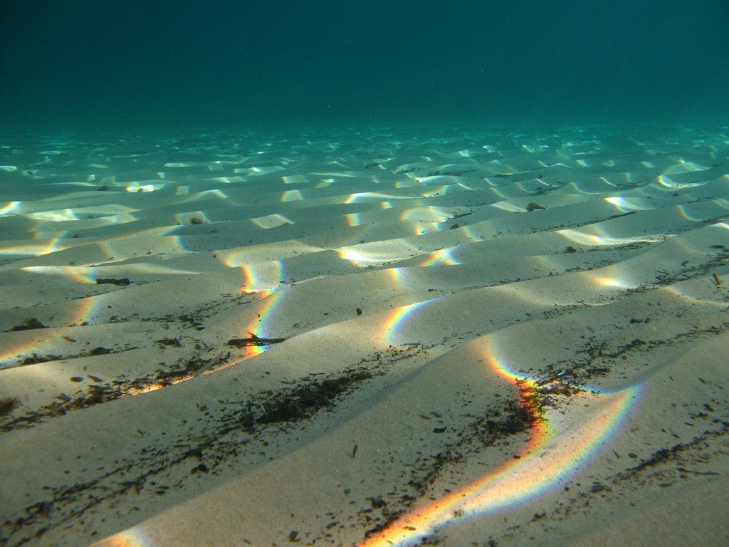 Desert ocean. Подводная пустыня. Пустыня и океан. Океанская пустыня. Океанская подводная пустыня.