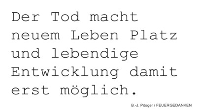 Leben Und Tod Tumblr