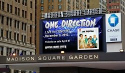 One Direction Madison Square Tumblr