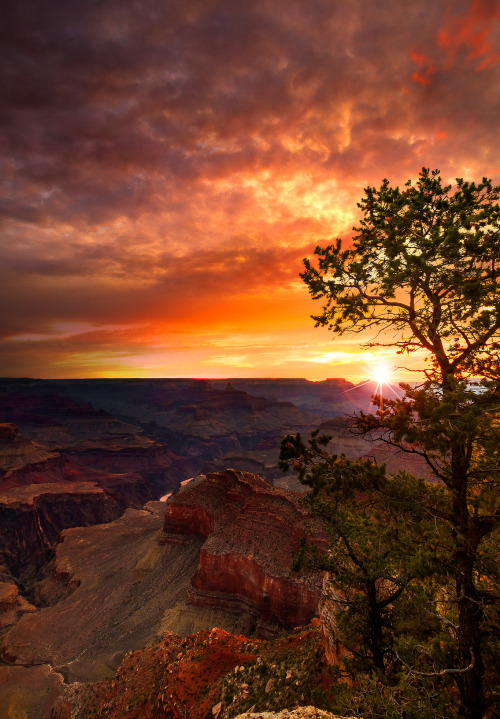 coiour-my-world: Grand Canyon Sunrise | Michael de la Paz