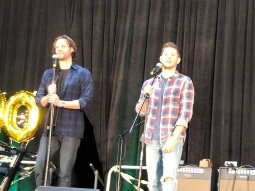 smallwind:J2 Gold Panel-SPNNJ 2018(X) (X) (X) (X) (X) (X) (X)