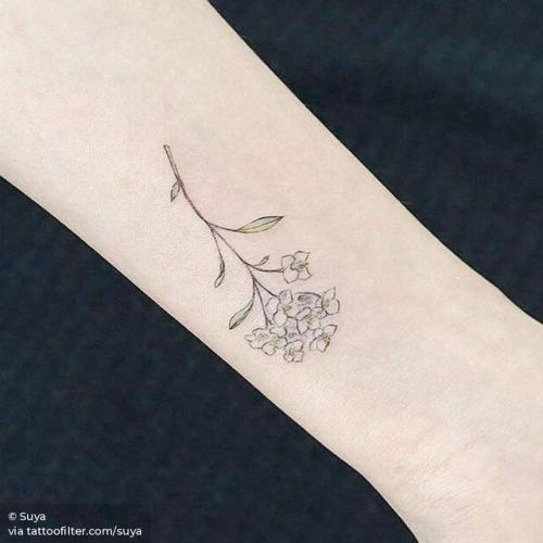 By Suya, done at The Day After Tattoo, Daegu.... flower;small;alison;tiny;suya;ifttt;little;nature;inner forearm;illustrative