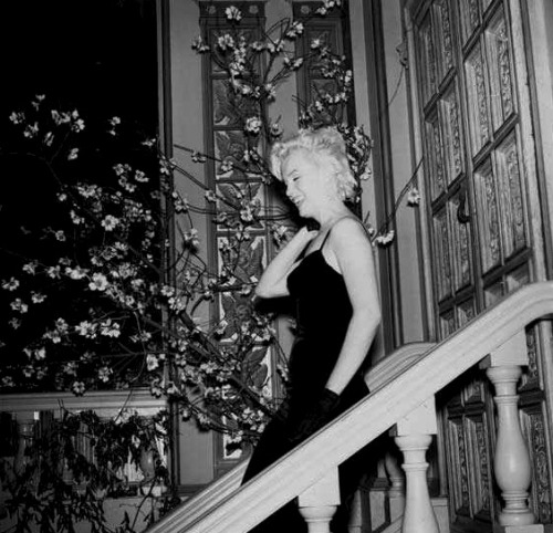 infinitemarilynmonroe