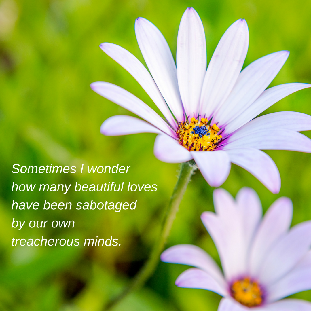 Unique Quotes About Daisy Flowers - flowers pictures