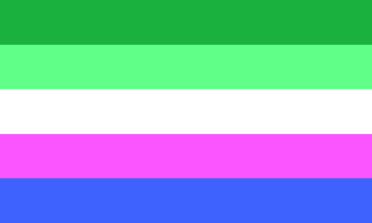 They them flag. Мятный флаг Прайд. Male Pride Flag. Aroace Pride Flag. Pronouns Flags.