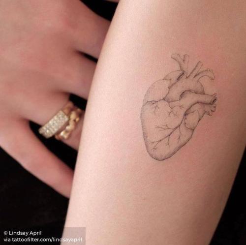 By Lindsay April, done at Twin Oaks Tattoo, Toronto.... small;anatomy;single needle;heart;tiny;love;ifttt;little;lindsayapril;inner forearm;anatomical heart