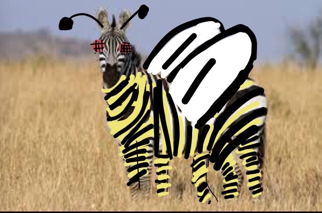 A zebra, apparently. 