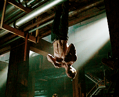 Oliver Queen Workout Tumblr