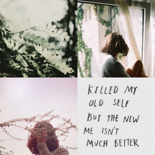 impossibletruths:making mini moodboards over on twitter rn!...