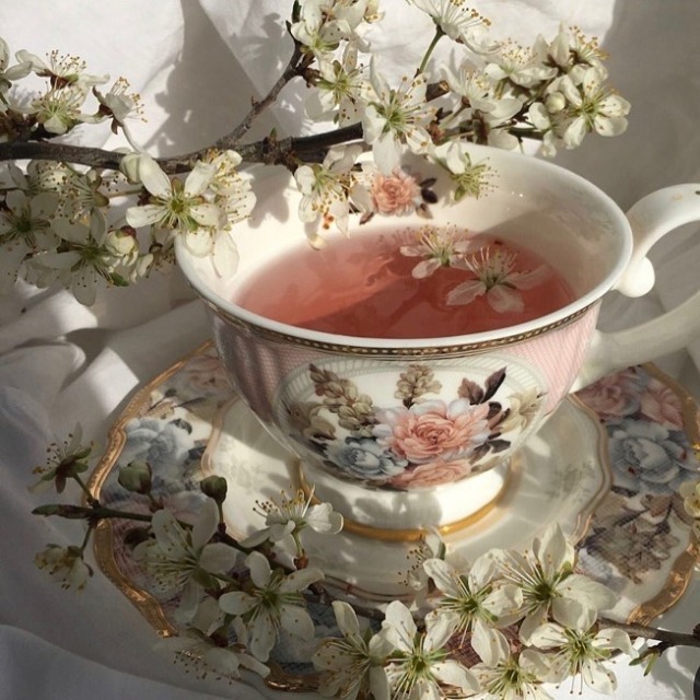 tea aesthetic | Tumblr