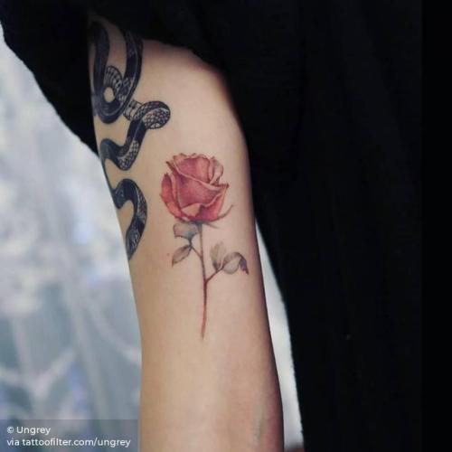 By Ungrey, done in Seoul. http://ttoo.co/p/207303 healed;flower;small;bicep;tiny;ungrey;rose;ifttt;little;nature;realistic;other