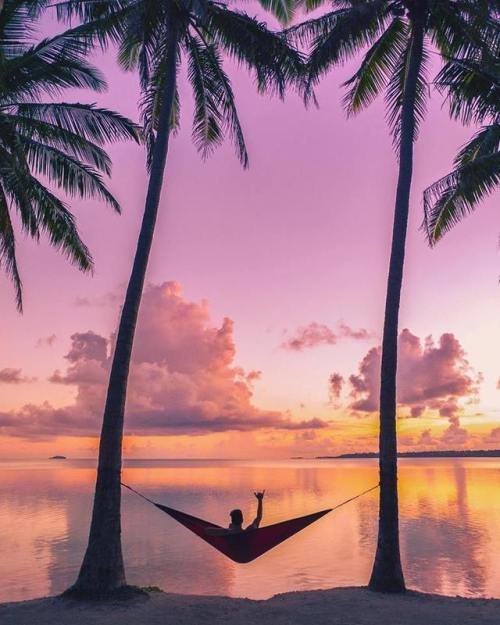 relaxing ocean lost souls paradise nature ocean vibes palm trees hammock landscape sunset paradise beach adventure explore exploring get lost