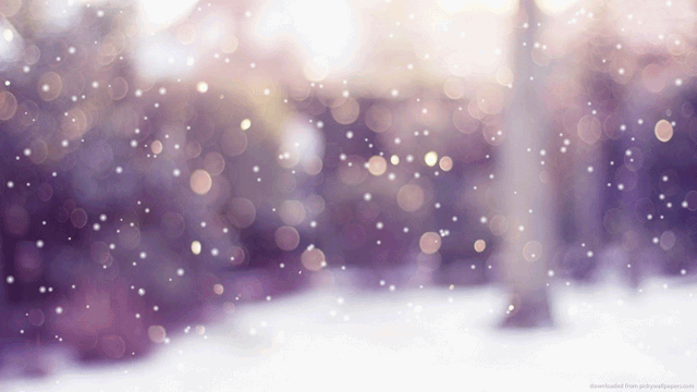Silver Snow, Blonde Locks Of Wrapping, Christmas In The Air Tumblr_p1afqreV8B1whifb8o1_640