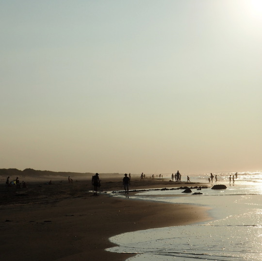 22.08.2018 i’m growing to love the north sea