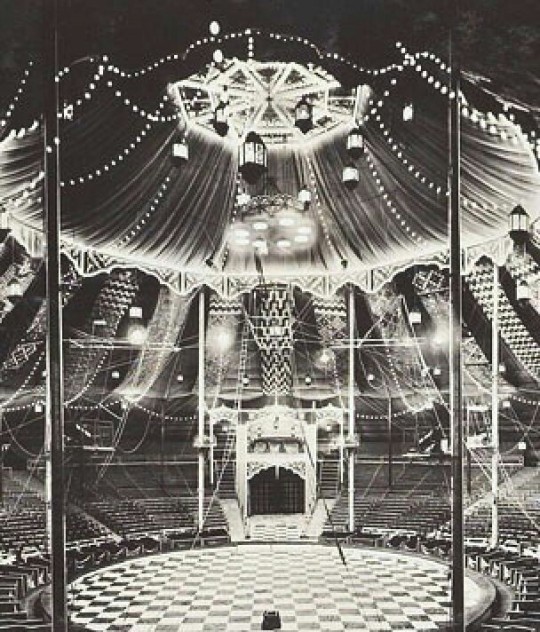 circus aesthetic on Tumblr