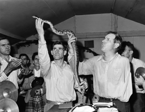 historium:Snake handling at Church of God with Signs Following,...