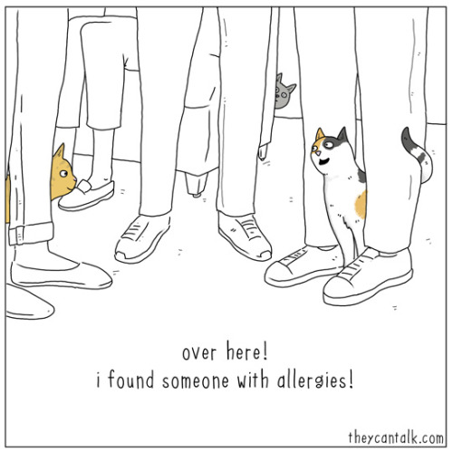 theycantalk:allergies