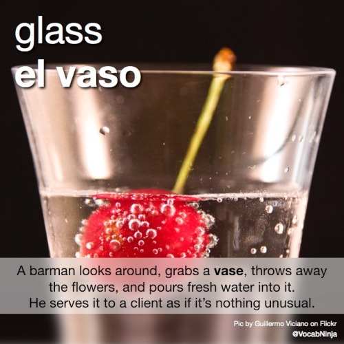 daily-spanish-word