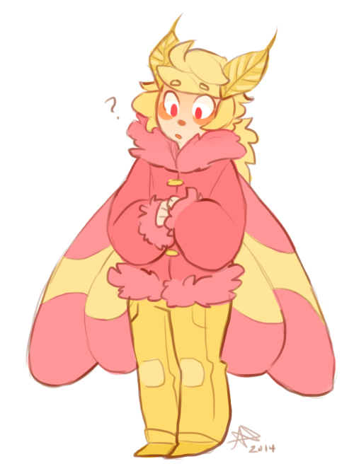 anthro rosy maple moth