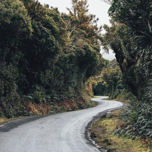 wanderlog:Mt Egmont National Park