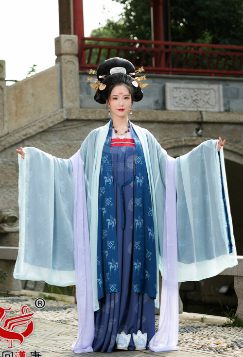 hanfu china chinese fashion ruqun daxiushan