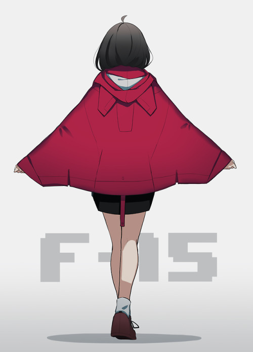 famysiraso:F-15　ｗ/dual wing bag  poncho!