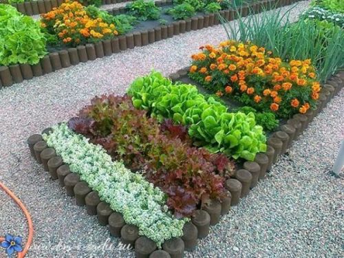 myzengarden