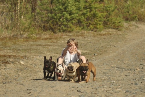 frenchbulldoge:Frenchie race!!!